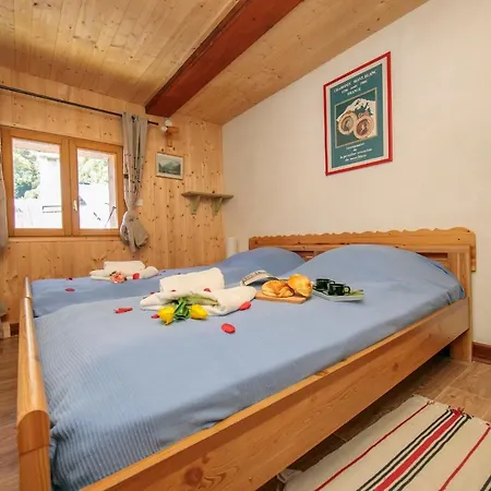 Le Grand-lemps Sleeps 6 Appartement Chamonix